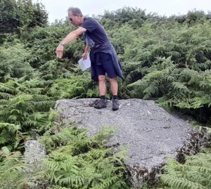 Hello, Elizabeth and Henry